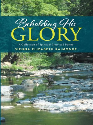 cover image of Beholding His Glory